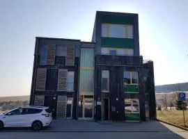 Loučná pod Klínovcem 120/3