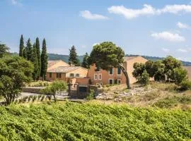 Château Ciceron