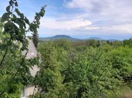 Aleksa apartman