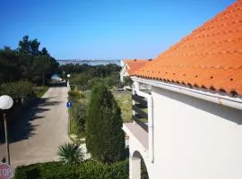 Apartman Milutin
