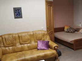 Studijas tipa vienistabas dzīvoklis (mākslinieku darbn&iuml;ca)