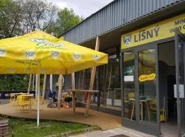 Galerka Líšný