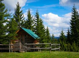 Eco Camp Drno Brdo, farm stay in Kosanica