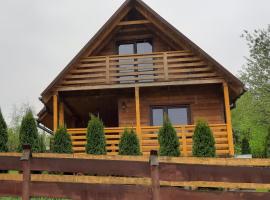 Domek z widokiem, holiday rental in Olchowiec