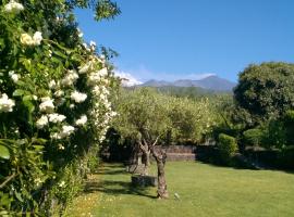 Casa Vacanze Prato Verde, hotel in Zafferana Etnea