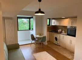 Floreasca Apartment Bach