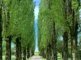 L’allée des peupliers