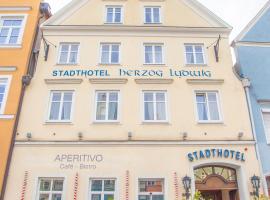 Stadthotel Herzog Ludwig, hotel in Landshut