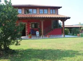 Llosa de Ibio