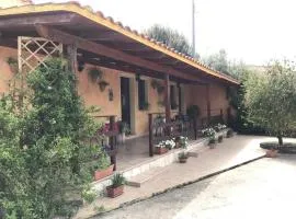 Domu de Palla- IUN-E5167