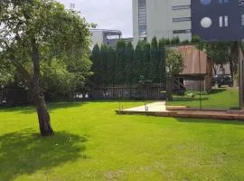 Mirror House Roosi 21