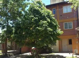 La Palmera escondida