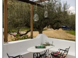 Liodentro House