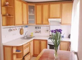 Квартира -студія вул. Героїв Севастополя 46/17, поруч НАУ, клініка Шалімова, швидкістний трамвай, Ж/Д вокзал, аеропорт Жуляни