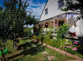 Casa Dany