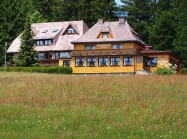 Hotel Restaurant Peterle, hotell i Feldberg