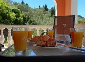 Calondri Apartment 2 in Achilleion Region