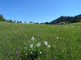 Bauernhof Ablass, homestay in Göstling an der Ybbs