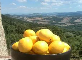 Podere Lama