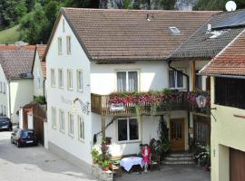 Pension Holzapfel, hotel in Essing