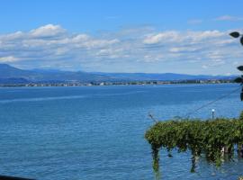 Da Enzo, guest house in Desenzano del Garda