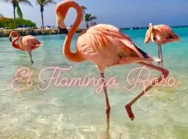 El Flamingo Rosa Cod IUN P5386
