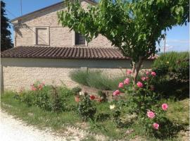 All'ombra degli Ulivi B&B, farm stay in San Marcello