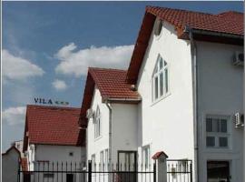 Vila Casa Alesiv, hotel near Cluj Avram Iancu International Airport - CLJ, Cluj-Napoca