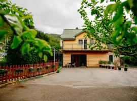 Apartment Silence, hotel with parking in Plužine