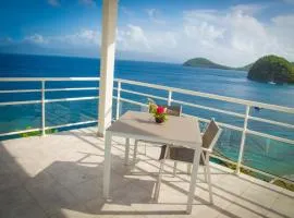 테레-드-오트에 위치한 호텔 Hôtel Bois Joli