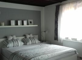 Apartmány na Hlíně, hotel v destinaci Třeboň