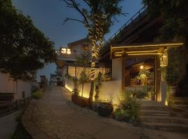 Genichi Villa, guest house in Hangzhou