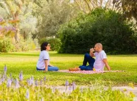 Gvulot - Kibbutz experience