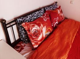 S.D APARTMENT 2, hotel in Lávrion