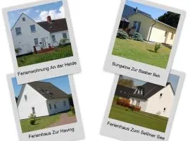 Ferienhaeuser Baaber Heide