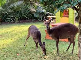 Versteek, Bokkie se le plek