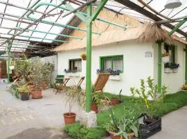 Rastlinky.sk Greenhouse Guestrooms