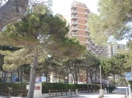 Cristallo
