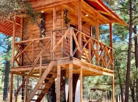 CASA DEL ARBOL en la Sierra de Durango