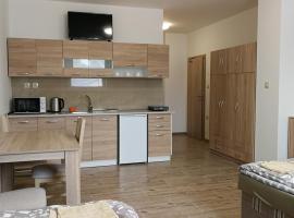 Apartmánové ubytovanie VKF, apartament cu servicii hoteliere din Volkovce