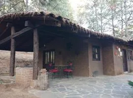 Cabañas Tapalpa Sierra del Tecuan, Cabaña Topo