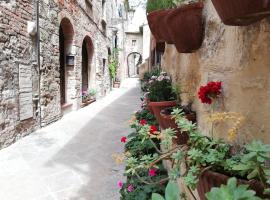 La Casa del Fotografo, hotel en Colle di Val d'Elsa