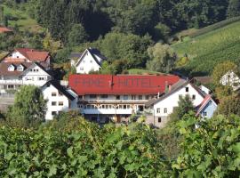 Hotel Faxe Schwarzwälder Hof, hotel in Kappelrodeck