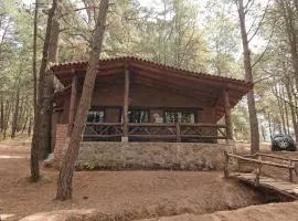Cabañas Tapalpa Sierra del Tecuan, Cabaña Venado