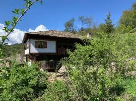 Q.pova house