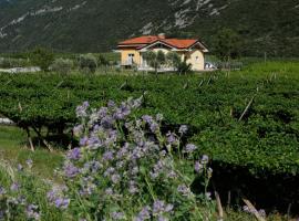 Appartamenti Al Vigneto, hotel v destinaci Dro