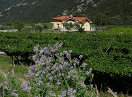 Appartamenti Al Vigneto, hotel en Dro