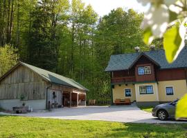 Ferienhaus Schlossblick, family hotel in Landl