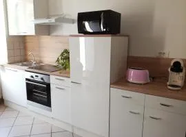 Appartement avec jardin à Colmar