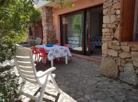 Corbezzolo